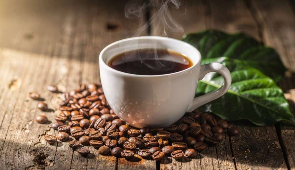 Café Maragogype du Mexique : découverte et dégustation