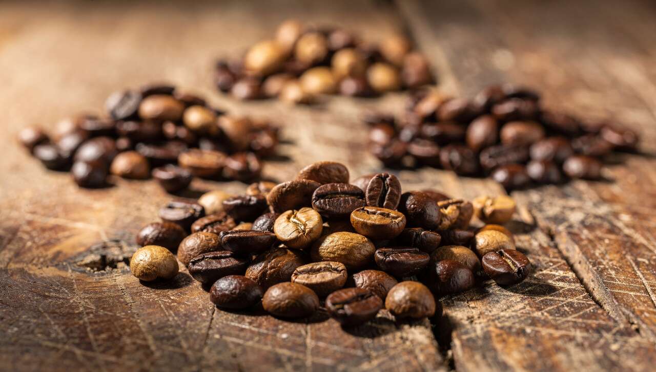 Principales vari&eacute;t&eacute;s de caf&eacute; arabica