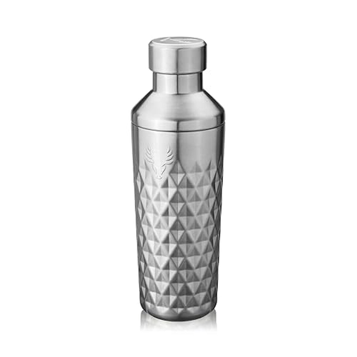 Test du shaker à cocktail Viski Paragon : efficacité et style en acier inoxydable