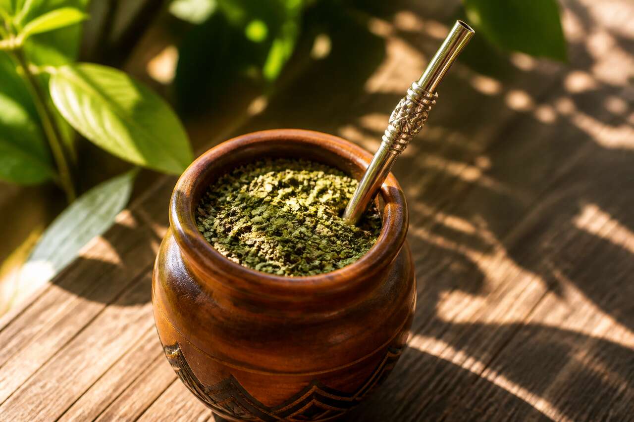 Découvrez le maté : boisson traditionnelle d'Amérique du Sud